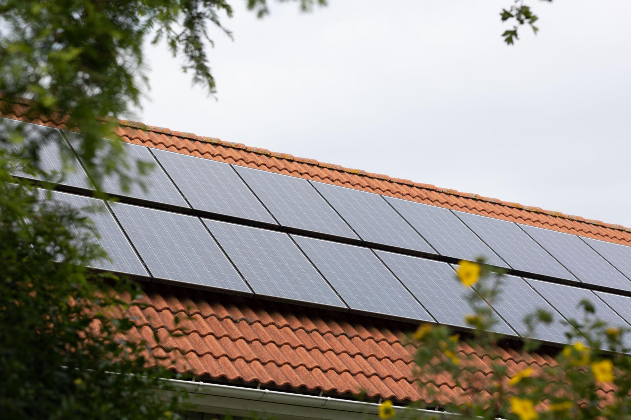 Solar Gardens